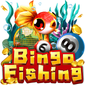 Bingo Fishing at BigWin Bet